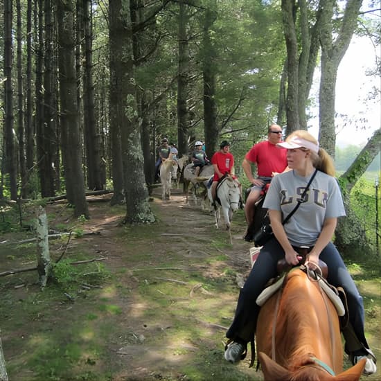 Guided Horseback Ride through Flame Azalea and Fern Forest