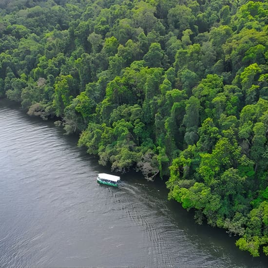 Daintree River Cruise