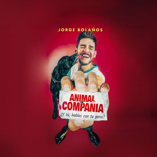 Animal de Compañía