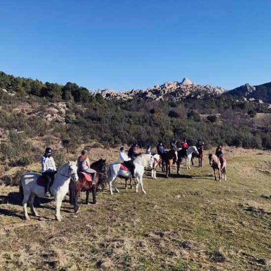 Experiencia a caballo: clases en plena naturaleza