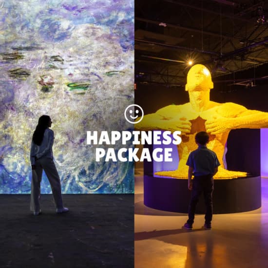 Happiness Package: The Art of the Brick + Monet