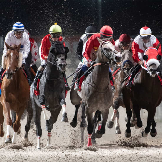 Las Noches del Hipódromo de la Zarzuela