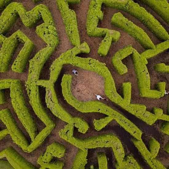 1cf42548 eae2 11ee bc9b 460b9d666b4c