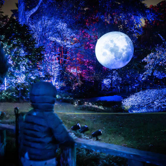 Lightscape at San Diego Botanic Garden — event image