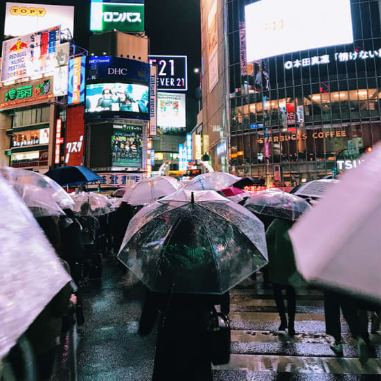 Planes bajo la lluvia 7