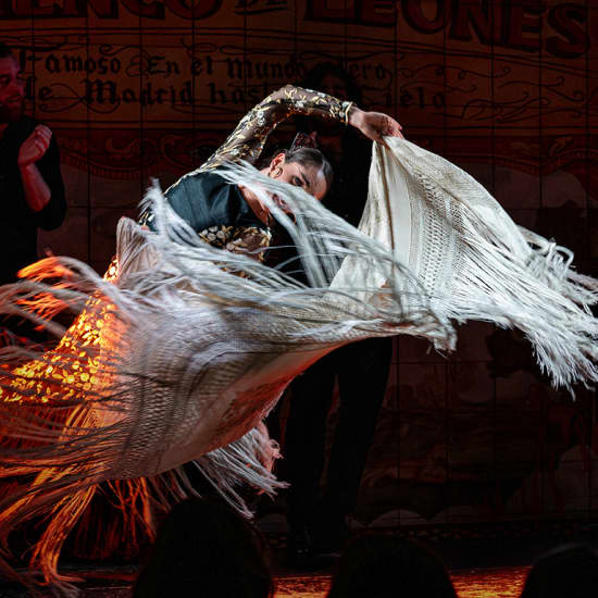 Flamenco de Leones, Madrid