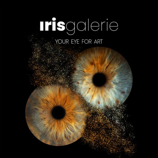 Iris Galerie Expérience : transforme ton œil en œuvre d’art !