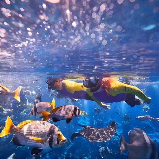 Dubai Lost Chambers Ultimate Snorkel Experience