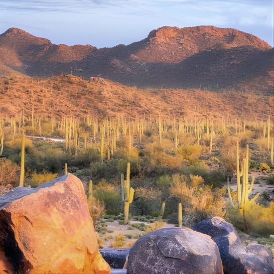 Saguaro National Park East E-Bike Tour