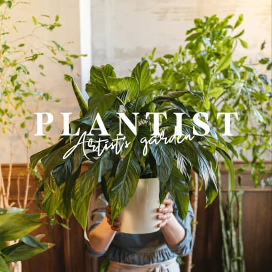 플랜티스트: 플렌테리어의 시작, 관엽식물 가드닝 워크샵