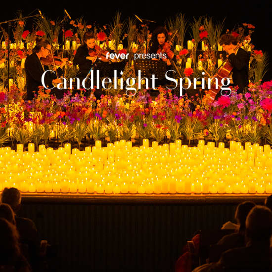 Candlelight Spring: Vivaldis „Vier Jahreszeiten“ im Beethoven-Haus