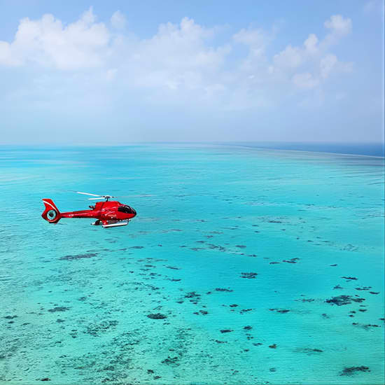 Great Barrier Reef or Rainforest Scenic Flights from Port Douglas