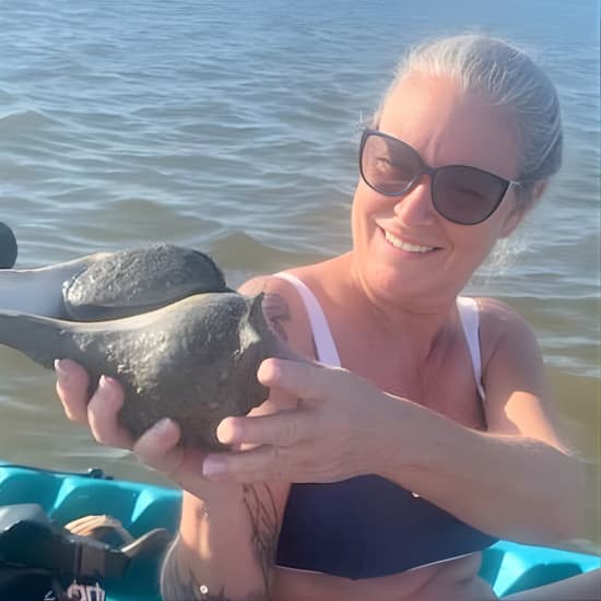 Dolphin and Manatee Kayak Tour of Daytona Beach