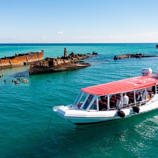 Moreton Bay & Tangalooma Wrecks: Cruise, Snorkel, Lunch and More