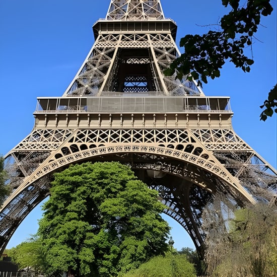 Paris Small Group Tour with River Seine Lunch Cruise from London