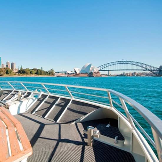 Sydney Whale-Watching Cruise Including Lunch or Breakfast