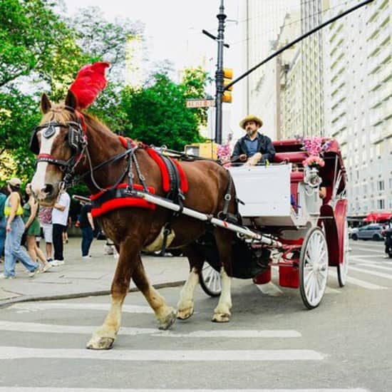 ﻿Paseos a caballo y en carruaje por Central Park