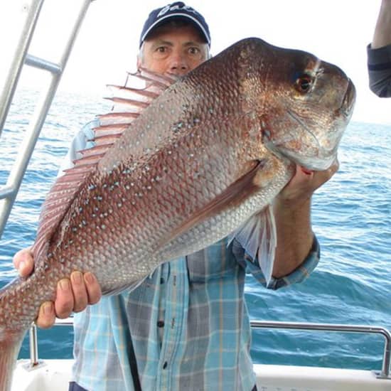 Gold Coast Half-Day Fishing Charter