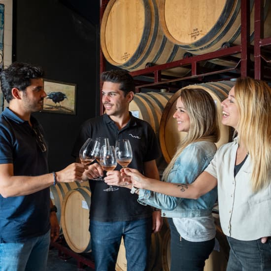 Tour de vinhos em Lisboa com passeio pelas Vinhas