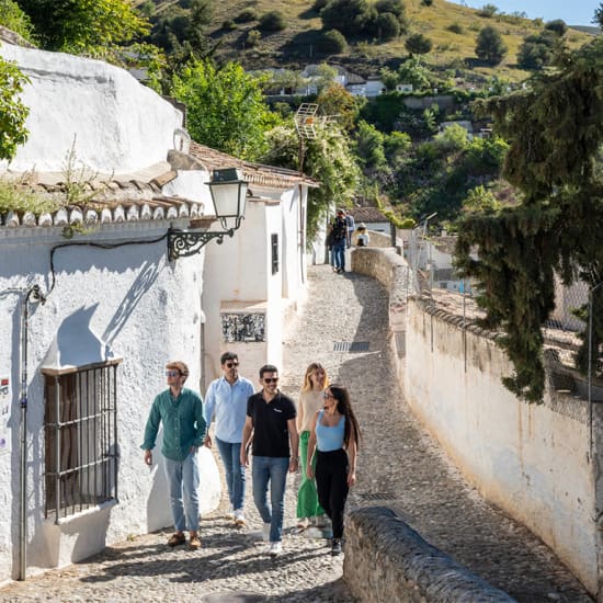 Lo mejor de Granada desde Málaga en un día con Alhambra opcional – Tour Premium en Grupo Pequeño