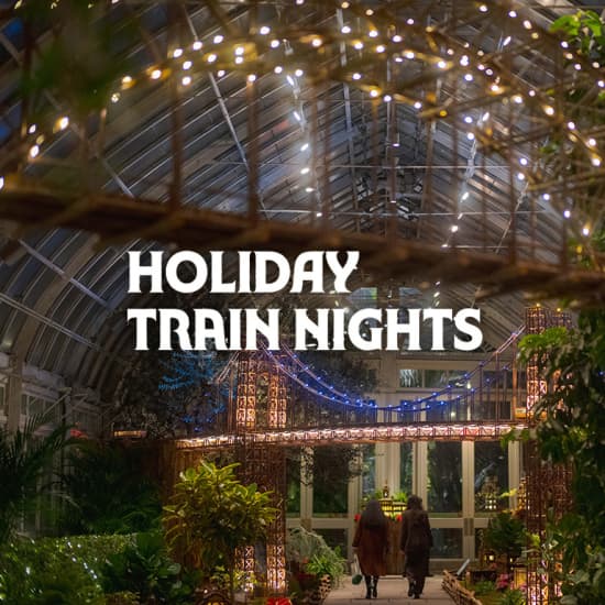 Holiday Train Nights en NYBG