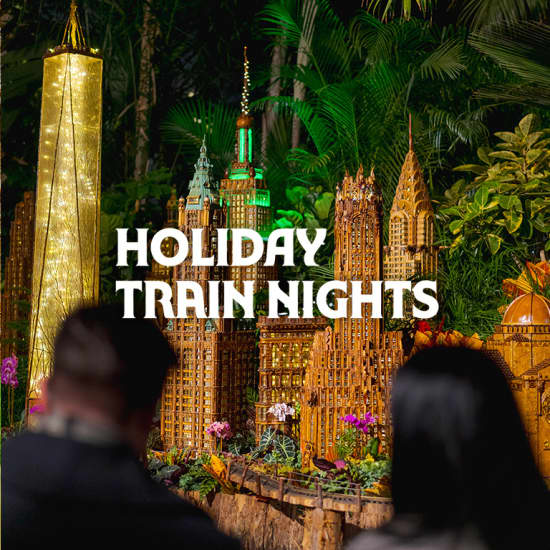 Holiday Train Nights at NYBG