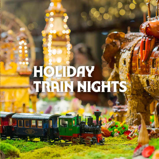 Holiday Train Nights at NYBG