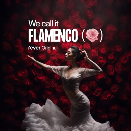 We Call It Flamenco: um espectáculo único de dança espanhola