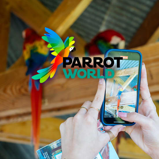Parrot World : pass annuel billets