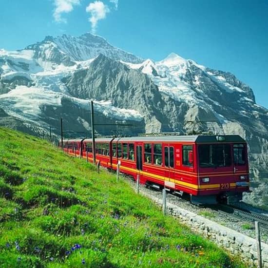 Schweizer Alpen Tagesausflug: Jungfraujoch und Bernese Oberland