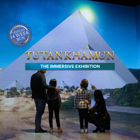 Tutankhamun: The Immersive Exhibition