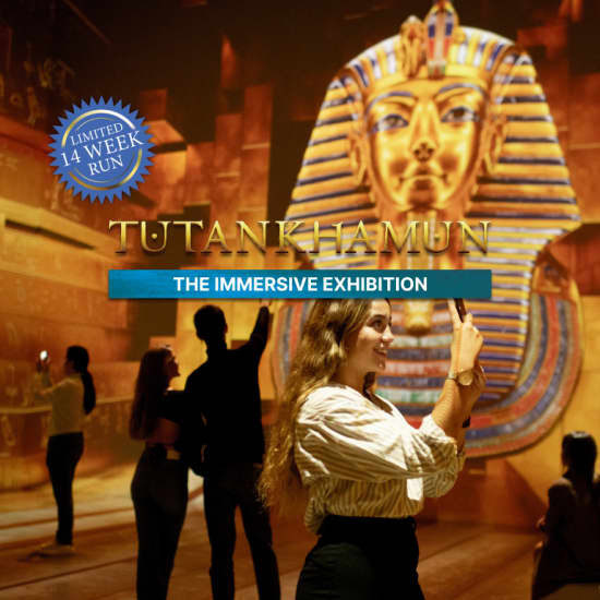 Tutankhamun: The Immersive Exhibition