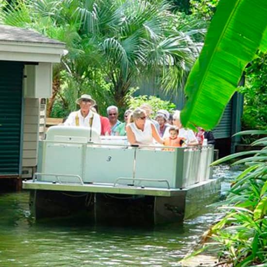 Peacocks, Presidents and Puzzles - The Winter Park Walking Tour + Boat Tour