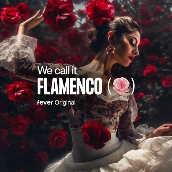 We call it Flamenco: um espectáculo único de dança espanhola