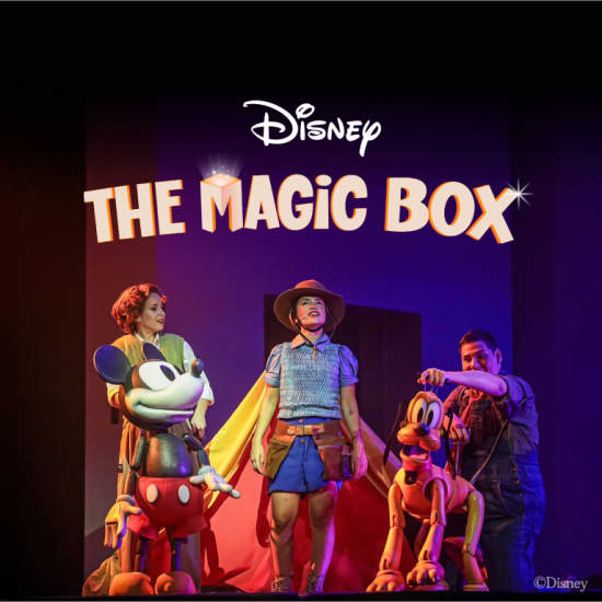 Disney The Magic Box - Johannesburg