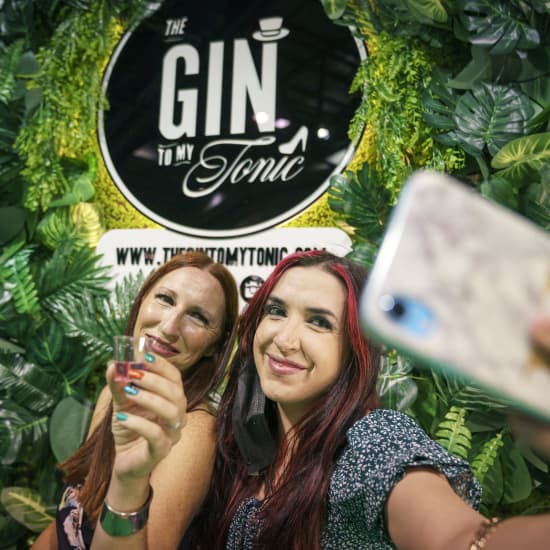 The Gin To My Tonic Gin, Rum & Vodka Festival in Belfast