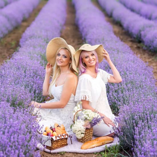 Excursión Campos de Lavanda de Brihuega