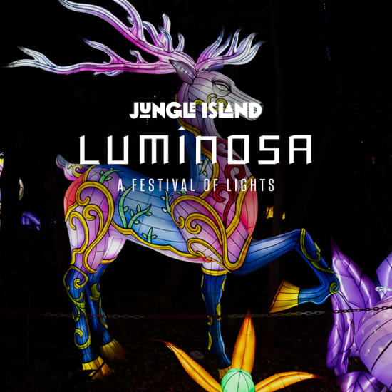 Luminosa: A Festival of Lights - Waitlist