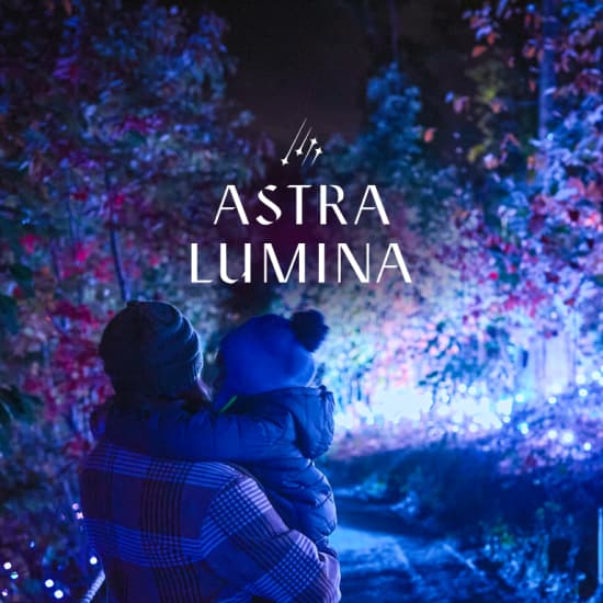 Astra Lumina: Una Caminata Nocturna Encantada Entre las Estrellas - Lista de espera