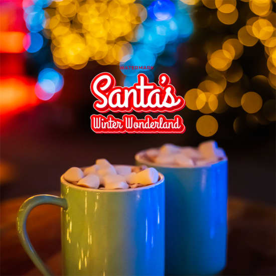 Santa's Winter Wonderland - Waitlist