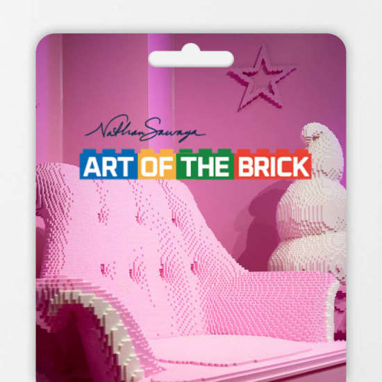 ﻿The Art of the Brick - Gift card