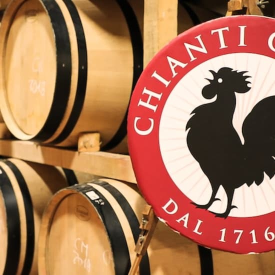 Regione del Chianti: Gita di un giorno da Firenze + Tour dei vigneti