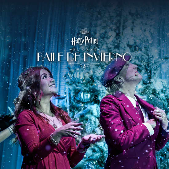 Harry Potter: El Gran Baile de Invierno - Lista de espera