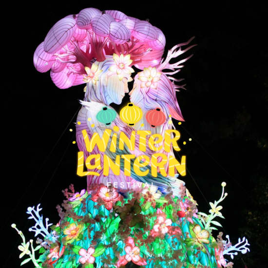 Imagem do evento Winter Lantern Festival: Illuminate the Farm (Queens, NY)