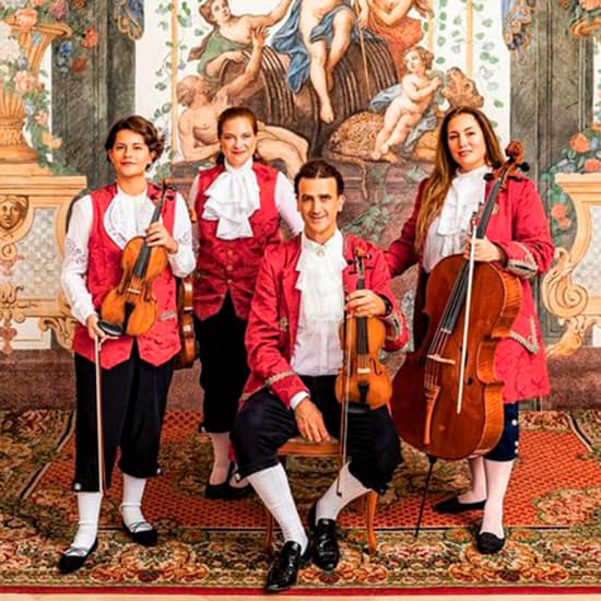 Mozarthaus Wien: Das Mozartensemble performt Kammermusik