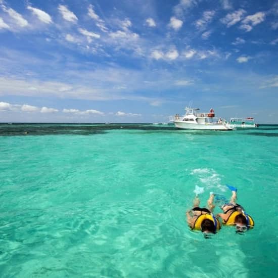 Key West Snorkel Tour from Miami with Unlimited Drinks Tickets Fever