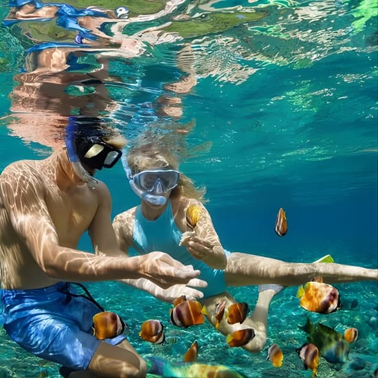 Visit The 5 Best Places In Islas Del Rosario & Baru By Sport Boat