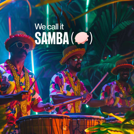 We Call It Samba: A Journey to the Heart of Brazil