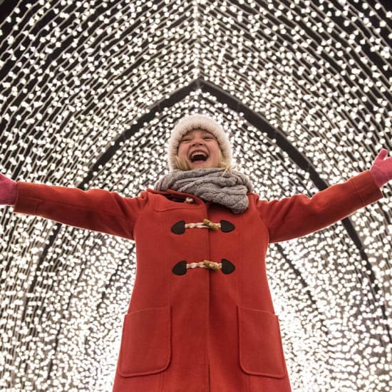 Christmas in the Garden — event image