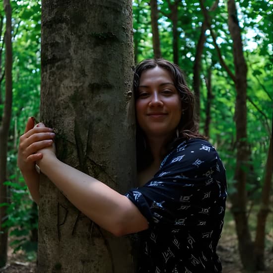 Half-day Forest Bathing and Yoga in Brighton's Woodlands